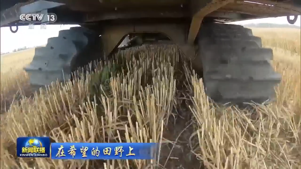 8.1億畝！全國(guó)春播糧食進(jìn)度約90% 5月底冬小麥將大面積收獲
