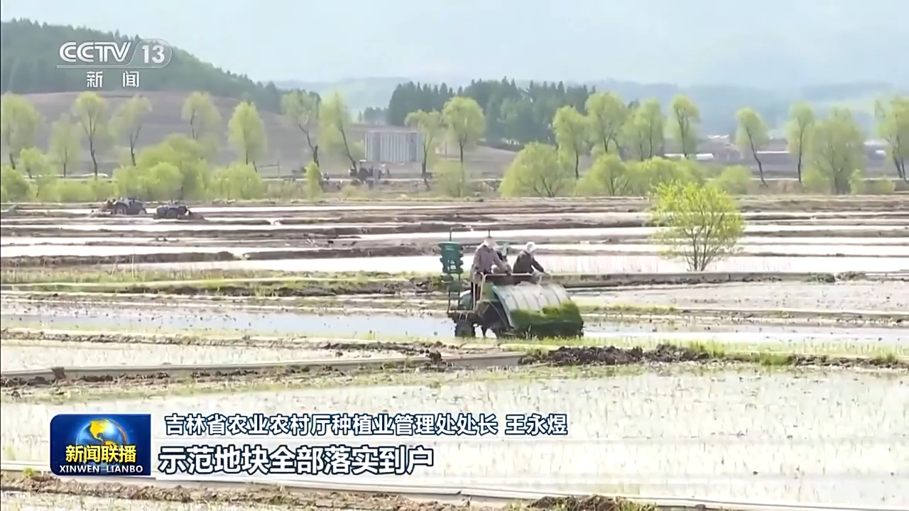 8.1億畝！全國(guó)春播糧食進(jìn)度約90% 5月底冬小麥將大面積收獲