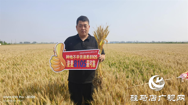 河南金糧田：嚴把麥種繁育質(zhì)量關(guān) 為來年豐收保駕護航