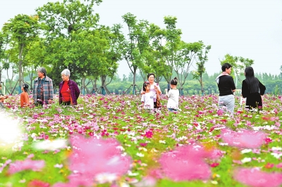 新時代 新征程 新偉業(yè)丨國際花園城市競賽，信陽憑啥“蟾宮折桂”