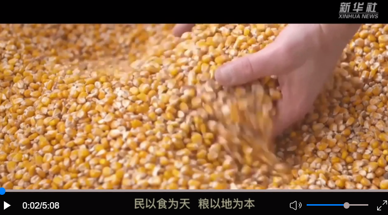 微視頻｜牢牢守住這條紅線，習近平再三強調(diào)