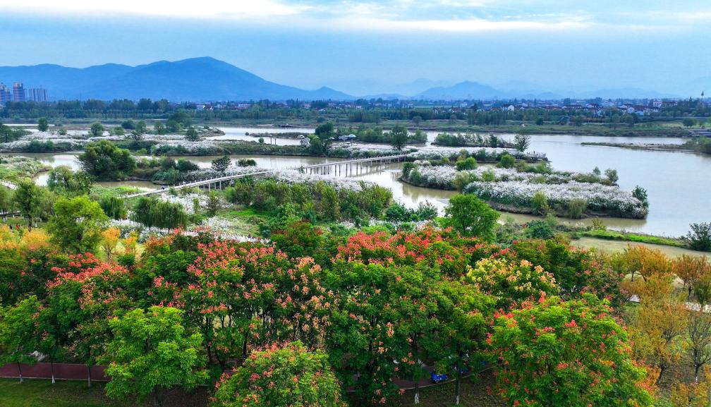 新聞多一點(diǎn)丨天漢濕地公園：漢中綠水青山生態(tài)畫(huà)卷的“城市名片”