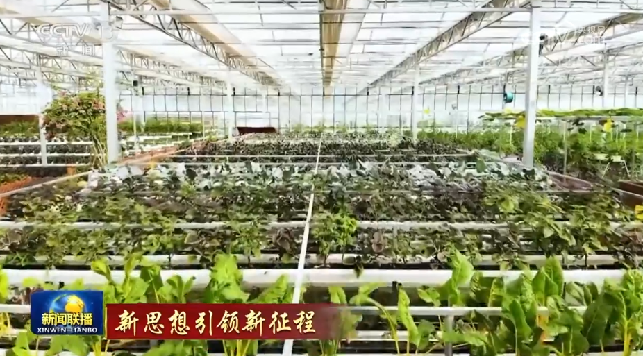 【新思想引領新征程】構建現代鄉(xiāng)村產業(yè)體系 帶動鄉(xiāng)村振興全面發(fā)展