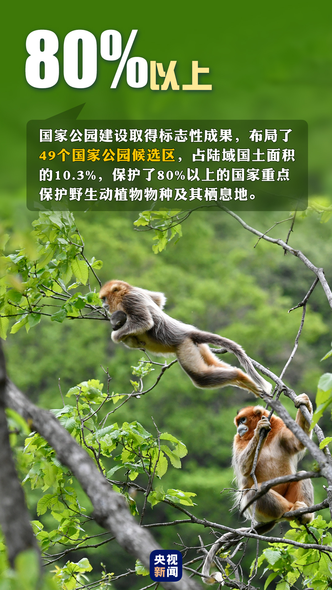 首個“全國生態(tài)日”來了！一組數(shù)據(jù)帶你看美麗中國新畫卷
