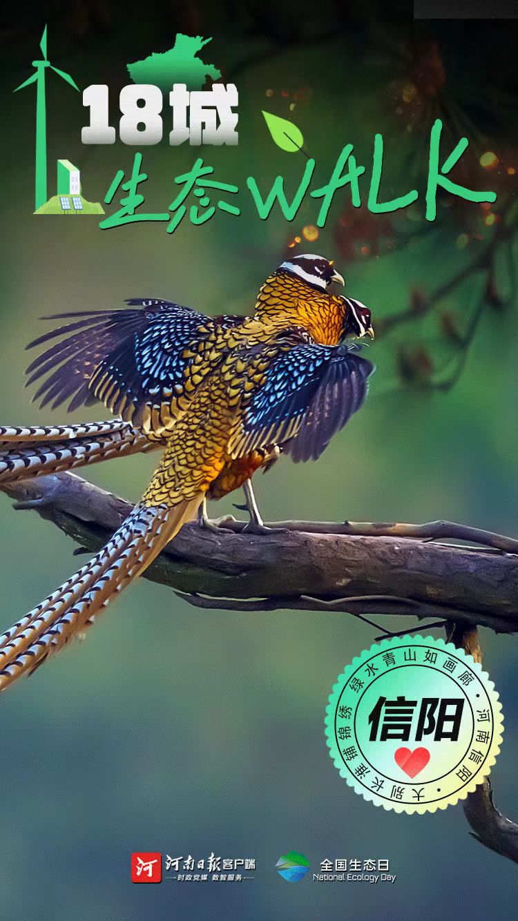 全國生態(tài)日丨“多巴胺”生態(tài)walk，這是你沒見過的河南
