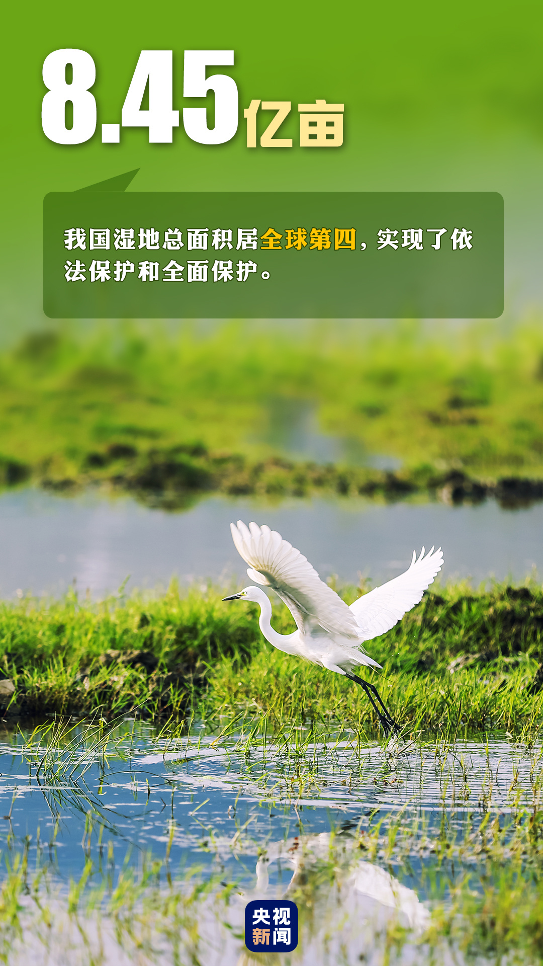 首個“全國生態(tài)日”來了！一組數(shù)據(jù)帶你看美麗中國新畫卷