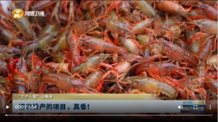 這次投產(chǎn)的項(xiàng)目，真香！| “三個(gè)一批”上新季