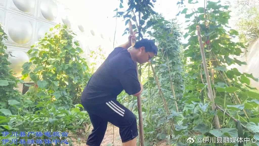 了不起！河南伊川這家敬老院里，走出個(gè)大學(xué)生