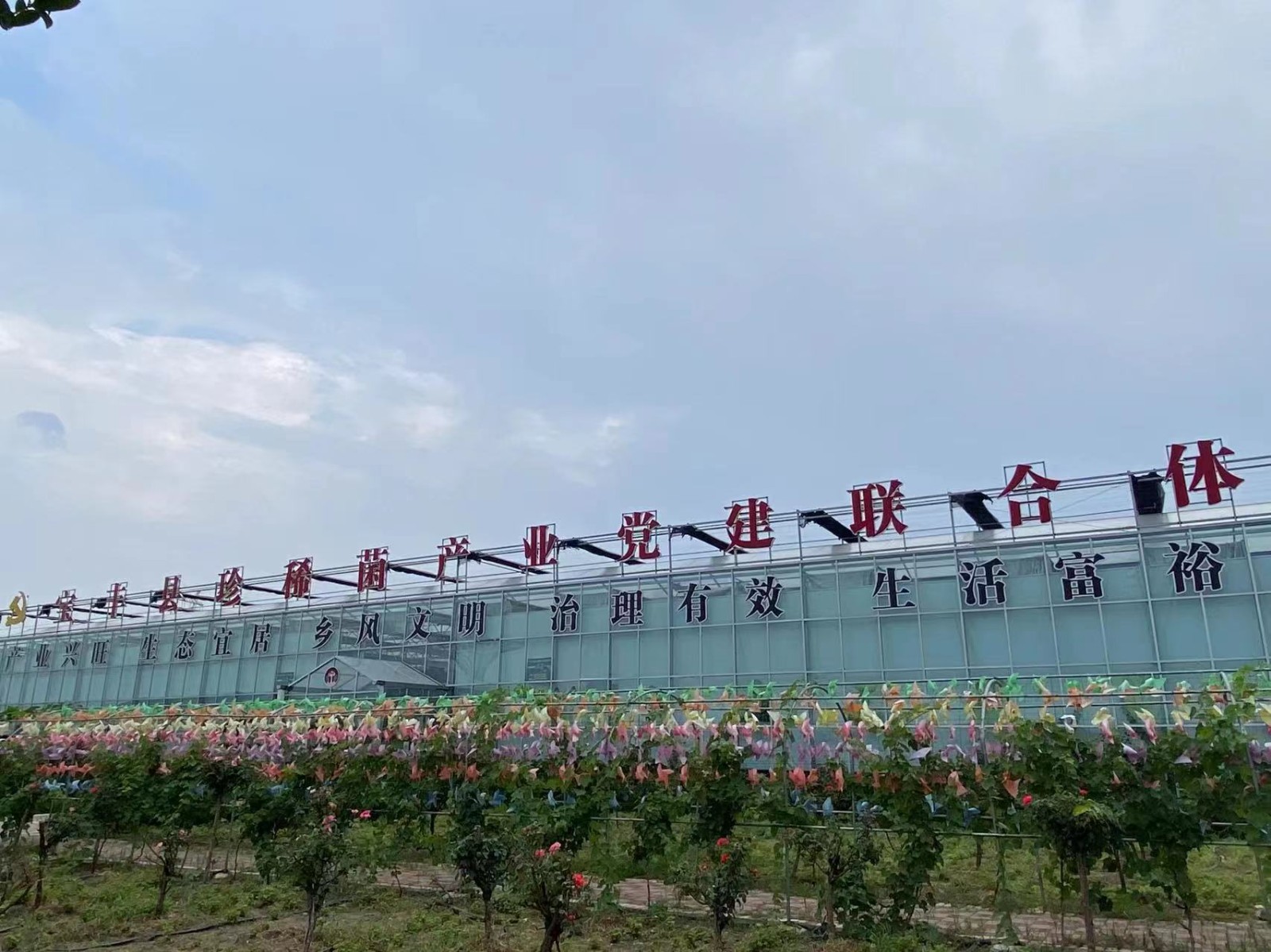 沿著南水北調中線看發(fā)展丨搬得出能致富！看河南各地“移民村”如何變身“宜民村”