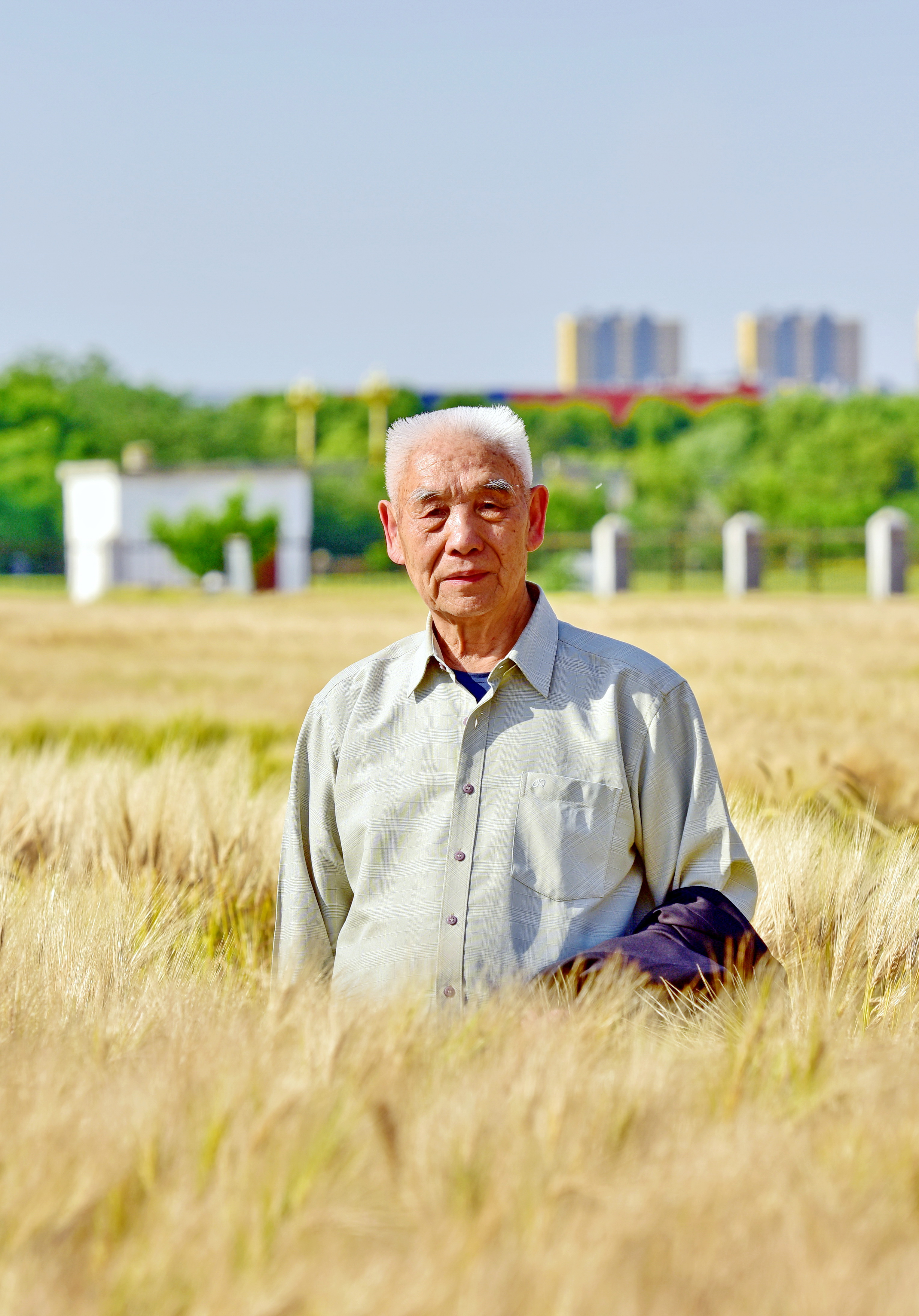 回望農(nóng)加會(huì) 續(xù)寫(xiě)新輝煌 | 推動(dòng)一場(chǎng)盛會(huì)扎根一座城——訪第一屆農(nóng)加會(huì)親歷者王志法