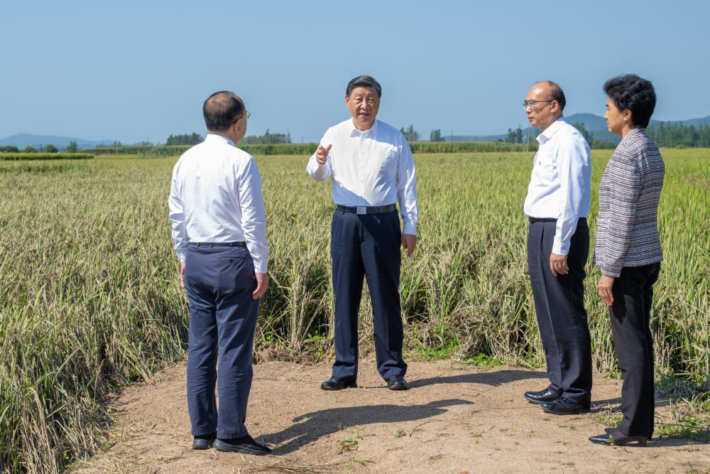 習近平在黑龍江尚志市看望慰問受災(zāi)群眾