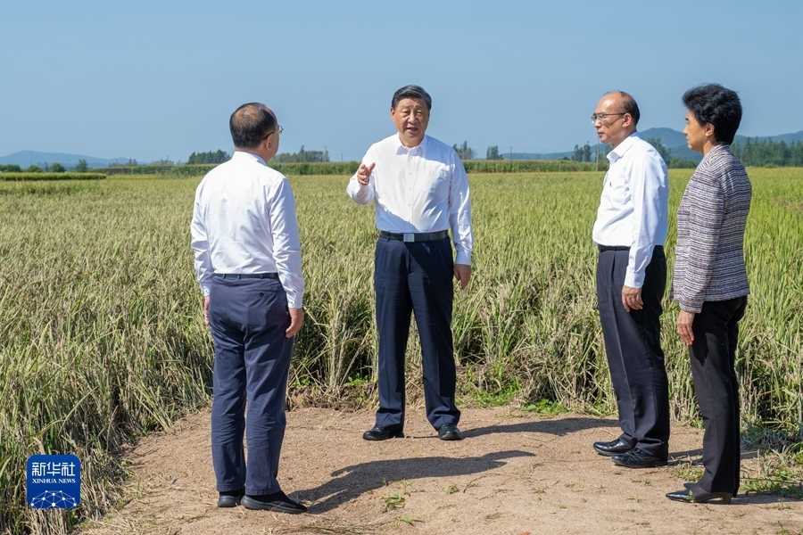 習(xí)近平在黑龍江考察時(shí)強(qiáng)調(diào) 牢牢把握在國(guó)家發(fā)展大局中的戰(zhàn)略定位 奮力開(kāi)創(chuàng)黑龍江高質(zhì)量發(fā)展新局面
