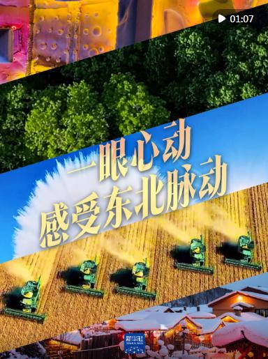 一眼心動，感受東北脈動