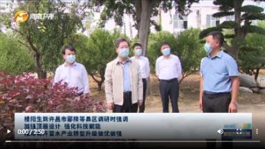 【視頻】樓陽生到許昌市鄢陵等縣區(qū)調(diào)研時強調(diào) 加強頂層設計 強化科技賦能 推動花卉苗木產(chǎn)業(yè)轉(zhuǎn)型升級做優(yōu)做強