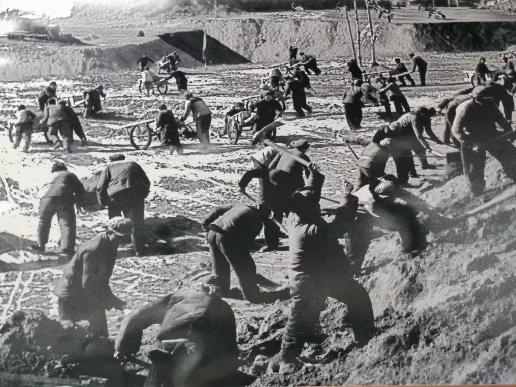 新時代新征程新偉業(yè)·習(xí)近平總書記關(guān)切事丨黃河之水天上來，奔流到此“青”幾許——黃河“幾字彎”生態(tài)治理一線故事