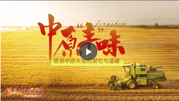 金秋稻花香！《中原“豐”味》描繪河南秋收畫卷