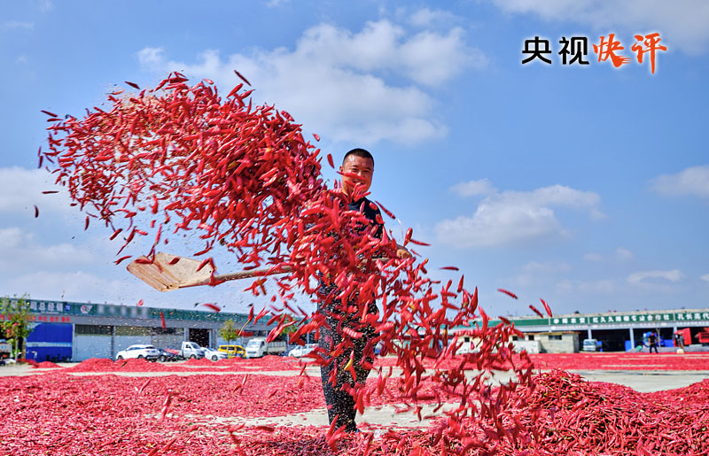 【央視快評】讓農(nóng)民腰包越來越鼓、生活越來越美好——慶祝第六個“中國農(nóng)民豐收節(jié)”