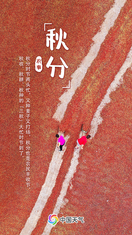 秋分至！又是一年好“豐”景 全國秋收地圖看哪里五谷豐登
