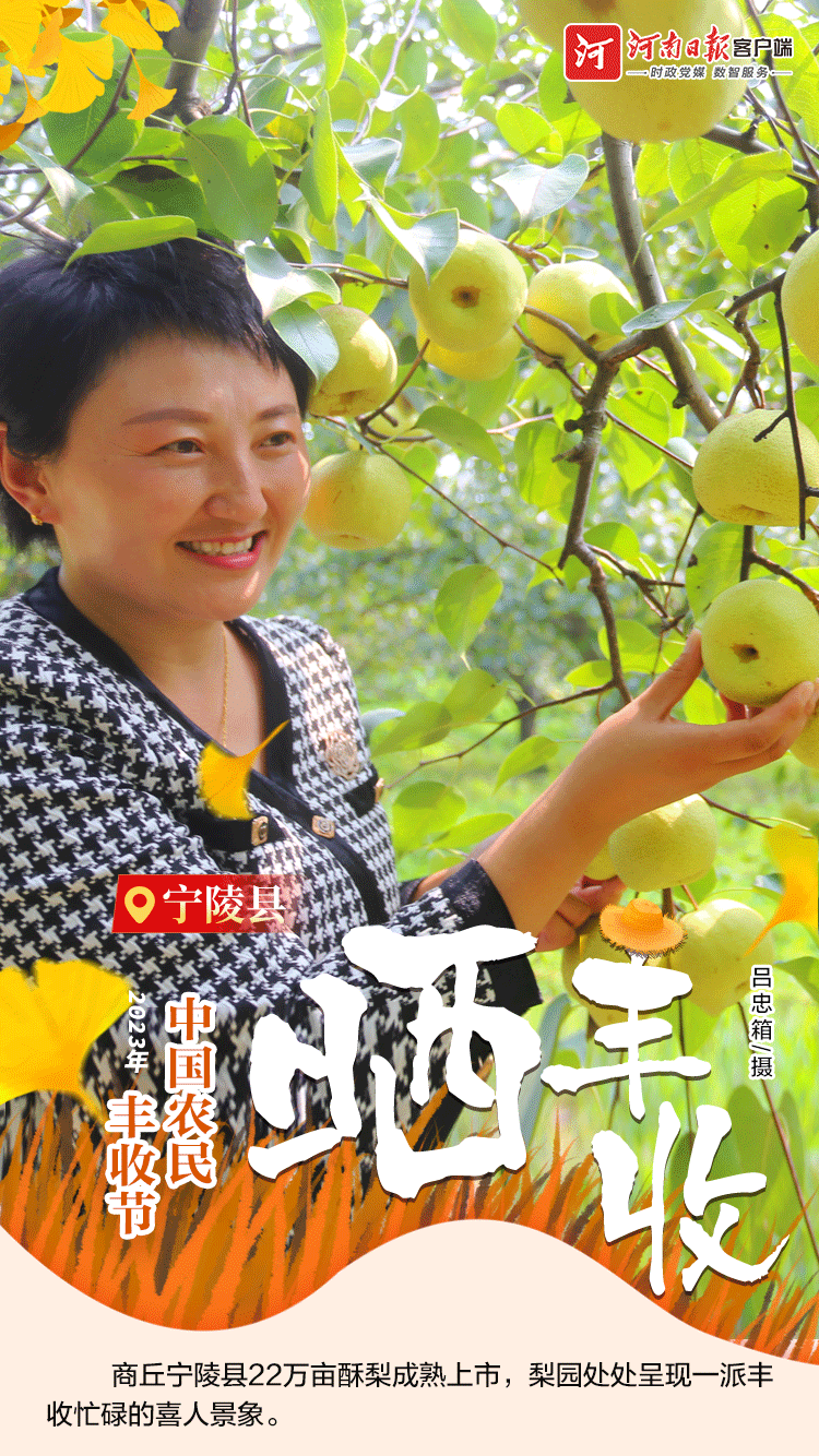 海報 | 豐收節(jié)，曬豐收?。ㄒ唬? /></p>
<p style=