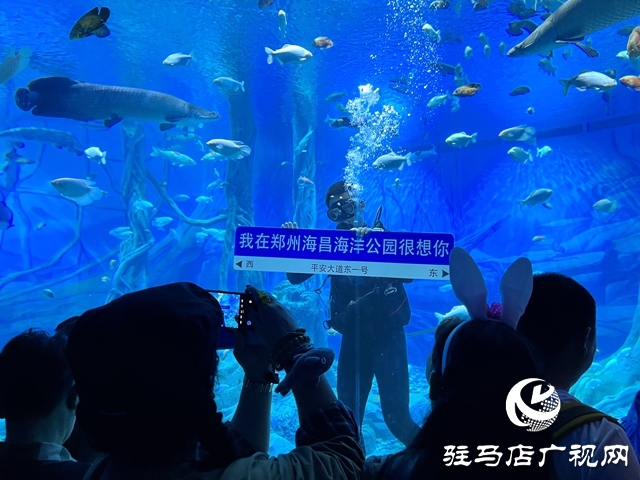 駐馬店多家旅行社負責人赴鄭州海昌海洋旅游度假區(qū)進行踩線活動