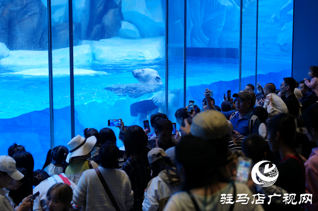 駐馬店多家旅行社負責人赴鄭州海昌海洋旅游度假區(qū)進行踩線活動