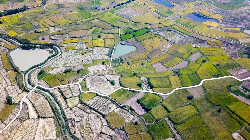 強國建設、民族復興的必由之路——以習近平同志為核心的黨中央引領新時代改革開放紀實