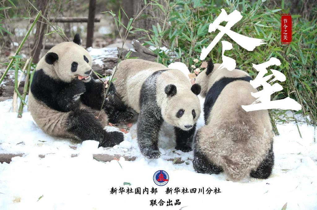 節(jié)令之美·冬至丨冬至，如約而至