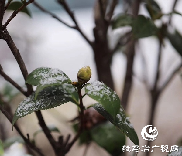 2月4日立春，農(nóng)歷又是無春年