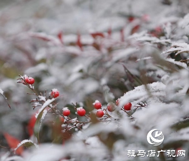 2月4日立春，農(nóng)歷又是無春年