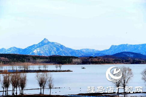 詩朗誦《銅山湖雪岸、玉樹、水鳥........絕美的一幅畫》
