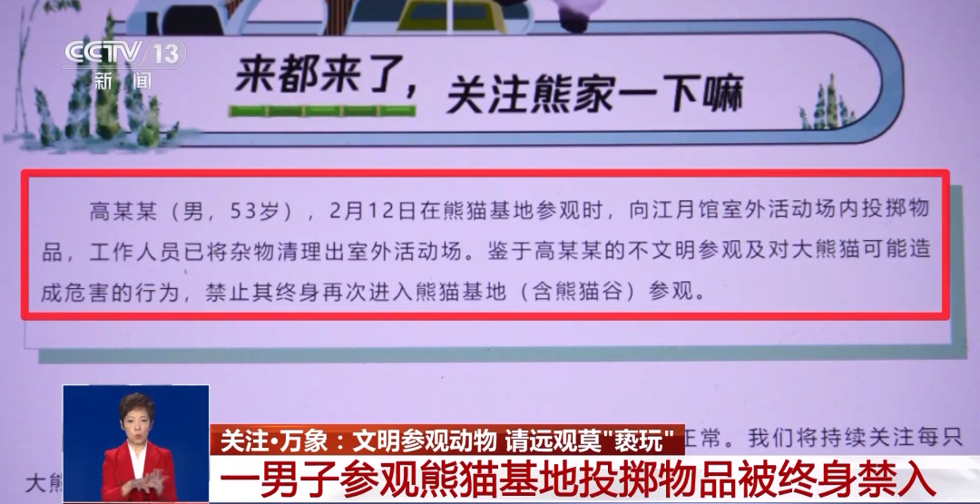 又有游客被終身禁入，為什么不能隨意投喂大熊貓？