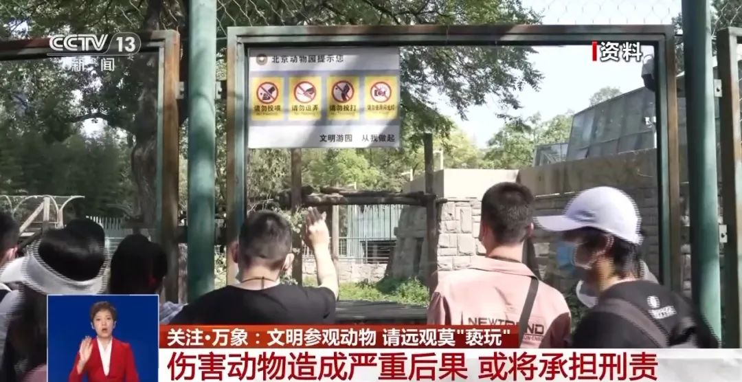 又有游客被終身禁入，為什么不能隨意投喂大熊貓？