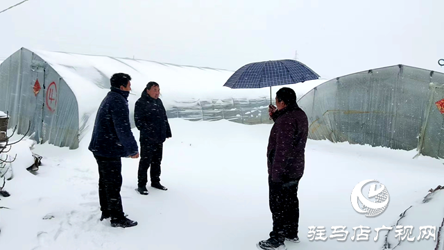 汝南縣張樓鎮(zhèn)：線(xiàn)上線(xiàn)下聯(lián)動(dòng)保安全
