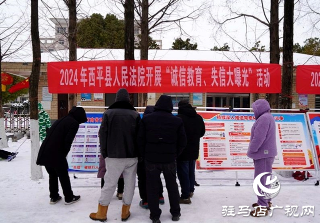 西平縣人民法院開展失信曝光主題宣傳活動(dòng)