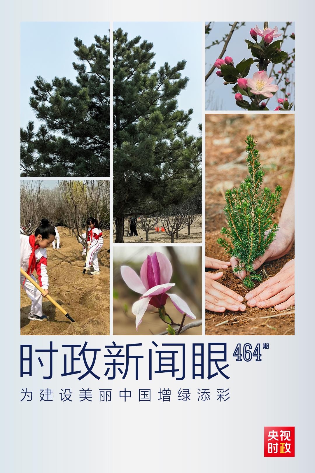 時(shí)政新聞眼丨再次參加首都義務(wù)植樹(shù)活動(dòng)，習(xí)近平強(qiáng)調(diào)綠化祖國(guó)要三者并舉