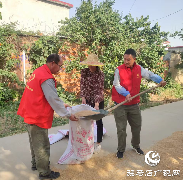 驛城區(qū)水屯鎮(zhèn)：麥田閃耀志愿紅 助力“三夏”解民憂(yōu)