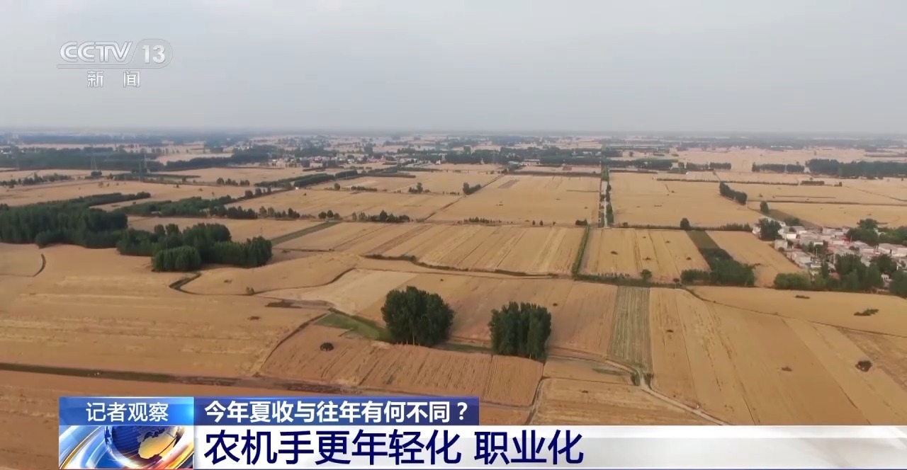 秸稈經(jīng)紀(jì)人、智能化新農(nóng)機(jī)……今年夏收有何不同？