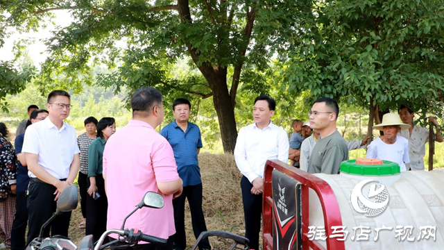 西平縣委書記侯公濤調(diào)研三夏生產(chǎn)和提水灌溉、取水用水等工作