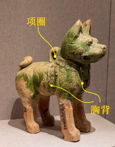 在河南博物館，古人申請(qǐng)和你交換一張小狗照片