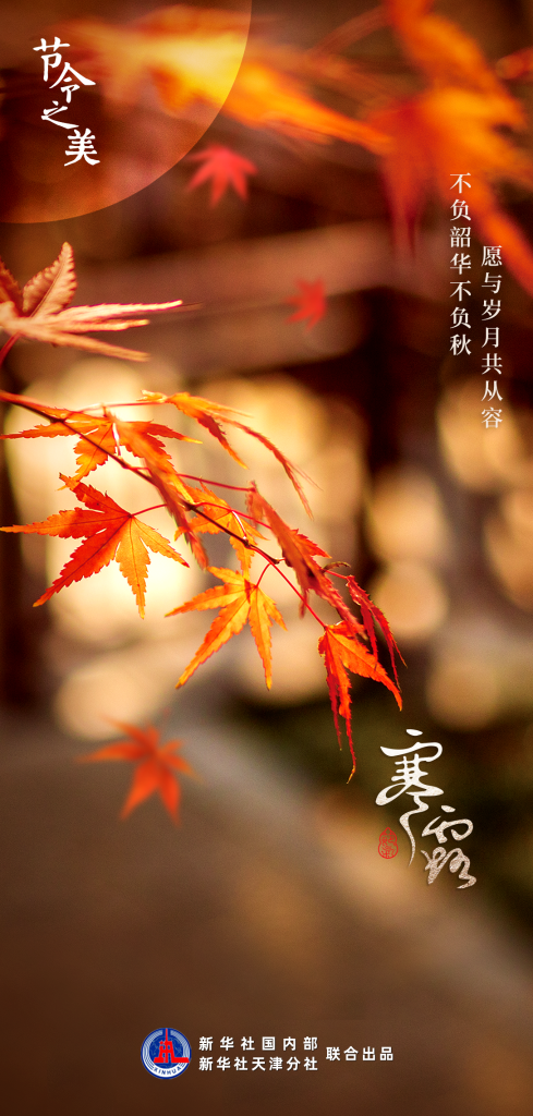節(jié)令之美｜8日3時(shí)00分寒露：開(kāi)門(mén)忽驚嘆，秋色已如許