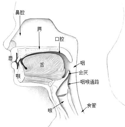 一個(gè)睡眠小習(xí)慣，可能會(huì)損害心臟和血管！快看你有沒(méi)有