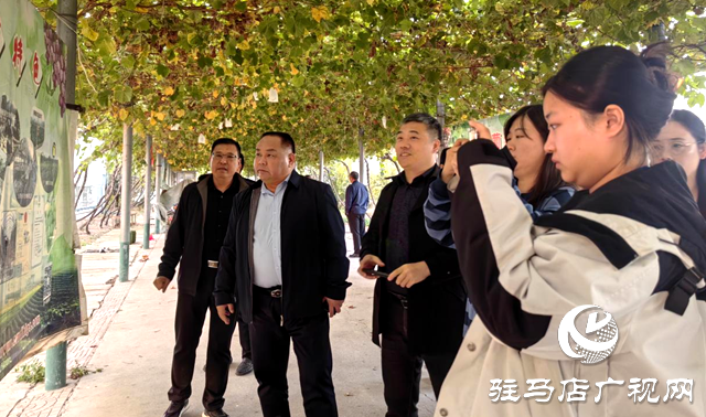 河南省“攻堅惠民生 豫見新食安”主題調研采訪活動走進驛城區(qū)