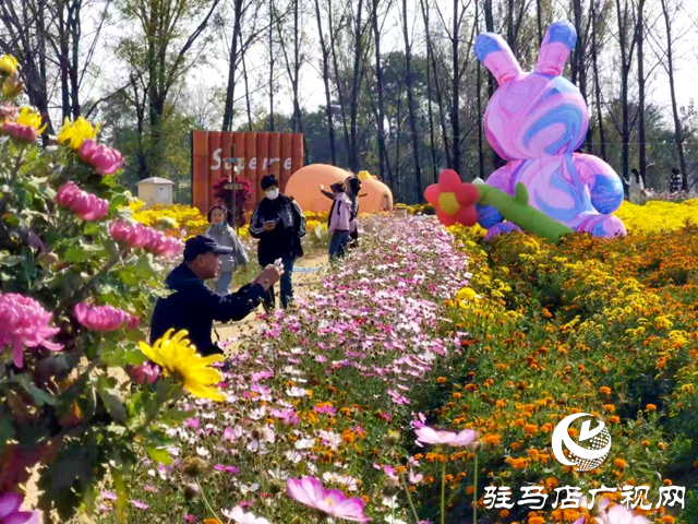 驛城區(qū)攝影家協(xié)會到諸市鎮(zhèn)開展采風(fēng)活動