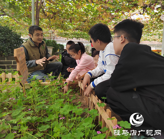 開展研學(xué)實踐 探索自然奧秘
