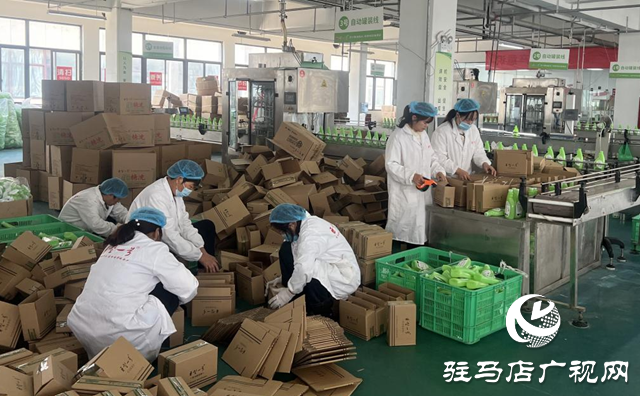 駐馬店：電商企業(yè)發(fā)力“雙11” 激發(fā)市場消費活力