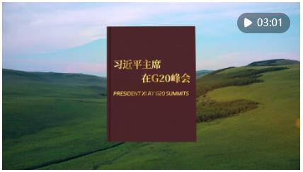 視頻畫(huà)報(bào)｜習(xí)近平主席在G20峰會(huì)