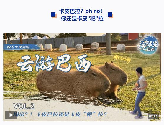 跟著習(xí)主席看世界丨什么友誼，像長江和亞馬孫河一樣奔騰不息！
