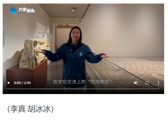 又見(jiàn)老朋友！“空中橋梁”續(xù)寫(xiě)“雙向奔赴”新故事｜“象”約盧森堡