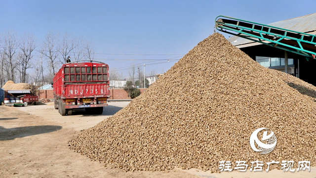 正陽縣：秸稈“變廢為寶”  實現(xiàn)生態(tài)效益與經濟效益雙豐收