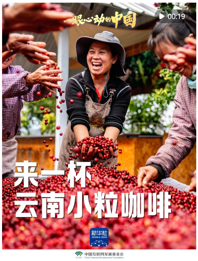 一眼心動的中國｜來一杯云南小?？Х? width=